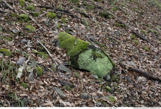 rock overgrown moss 0002